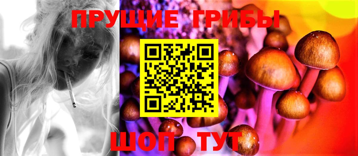 Чистополь  Галлюциногенные грибы мицелий  Вход с VPN 