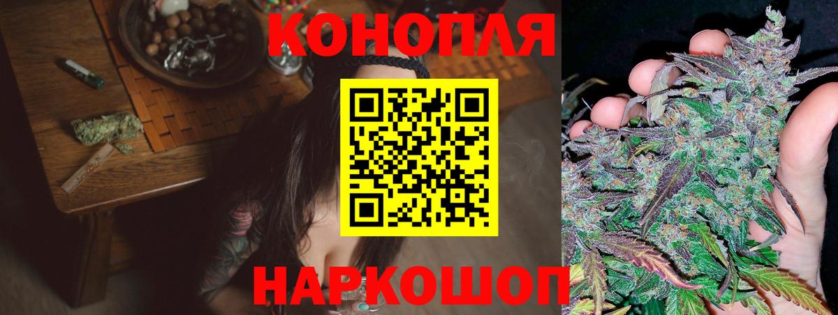 Чистополь  Бошки Шишки семена  Вход с VPN  Бошки марихуана ГИДРОПОН  Бошки марихуана White Widow 